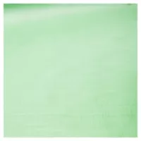 Rafia laminada verde 2 m