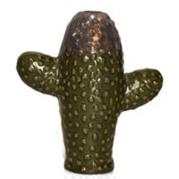 Cactus Aisea oliva dorado