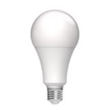 Lámpara LED E27 A80 20W fría